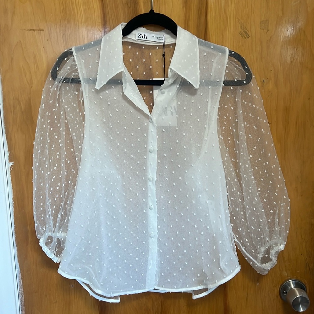 Sheer Button Up Blouse